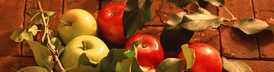 Funny Compilation 2015