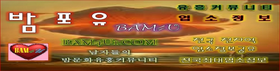 업소정보-밤포유