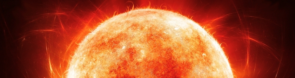 TainaFlanagan Animals