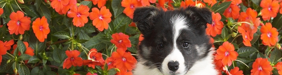 AleishaBannister Fun