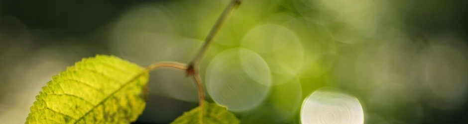 VanceChristianson Videogames