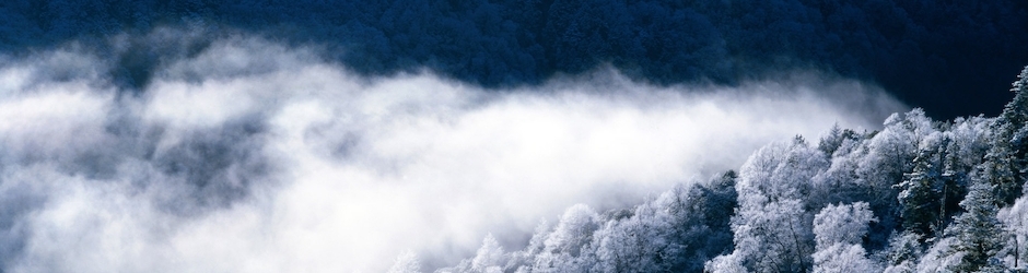 Call of Duty 4  Modern Warfare