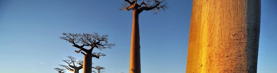 The Vanishing of Ethan Carter