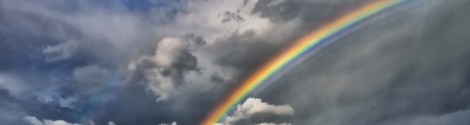 Ever Lasting Friends