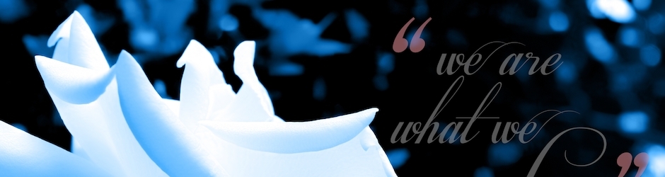 Personal Injury Lawyer