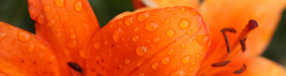 Be Careful With My Heart