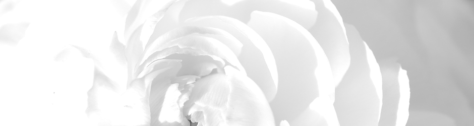 Peppa Pig Best Friend