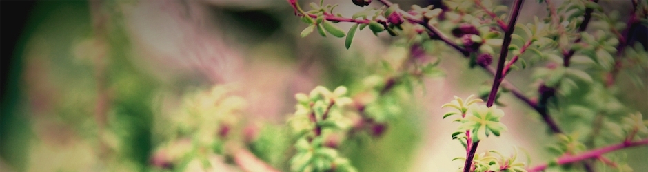 Peppa Pig Listens To