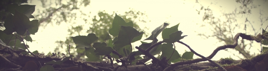 Peppa Pig S Christmas