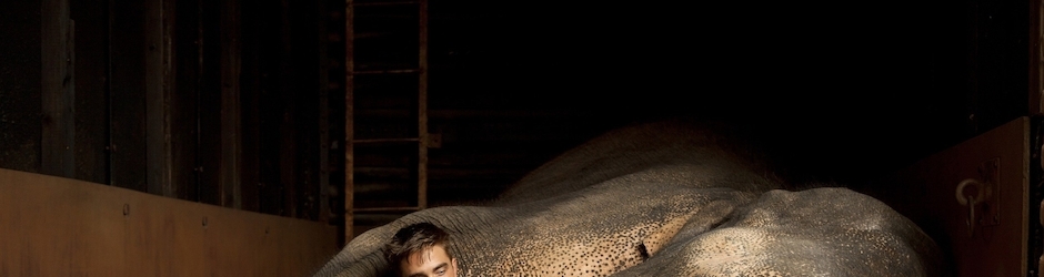 Peppa Pig Y La Araña