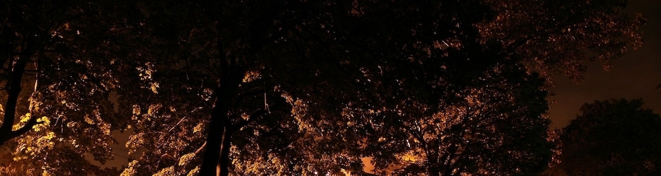 Peppa Pig 8 Temporada