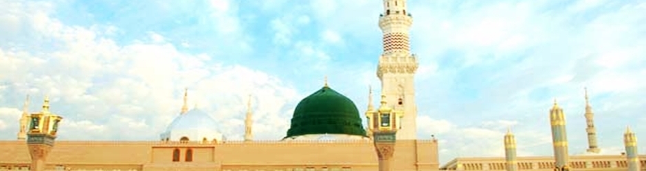 Muhammad Raza SaQib Mustafai