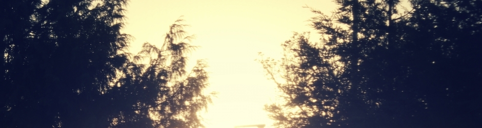 Peppa Pig Ytp Computer