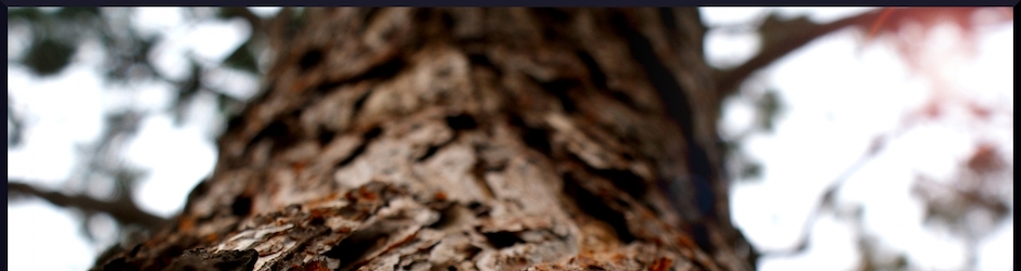 Peppa Pig Y La Navidad