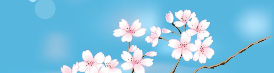 Minecraft 6X6 Piston Door