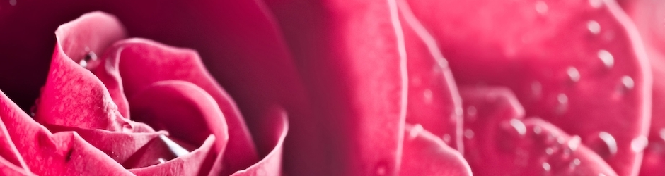 Asdf Movie 8 Minecraft