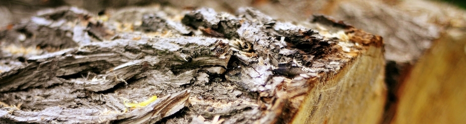 Asdf Movie 2 Minecraft