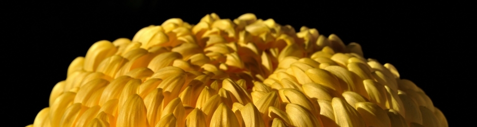 Minecraft 4Th Of July