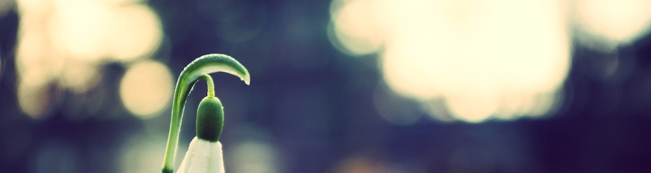 Peppa Pig Gets Grounded