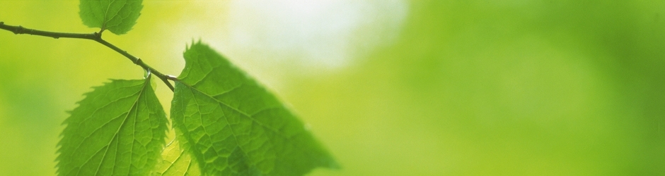 Peppa Pig Olden Days