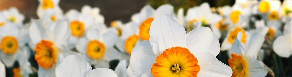 DemarcusLudwig School