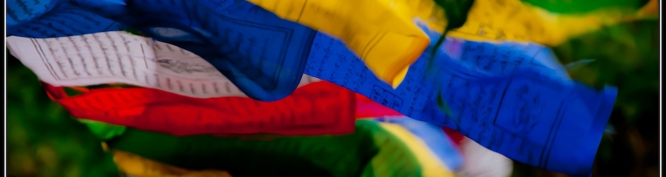 Happy To Disturb Fun Pro