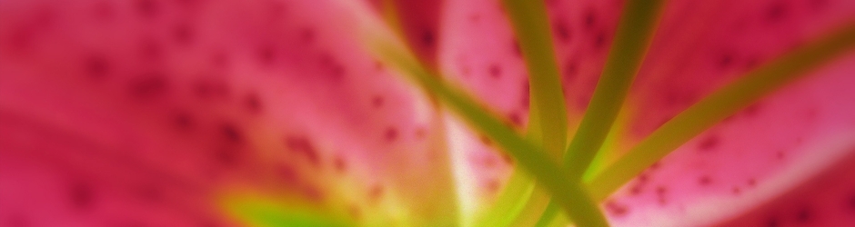 DamionThibodeau Travel