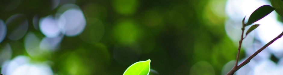 IvoryRatliff Videogames