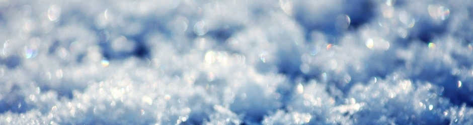 ShondraAsher Lifestyle