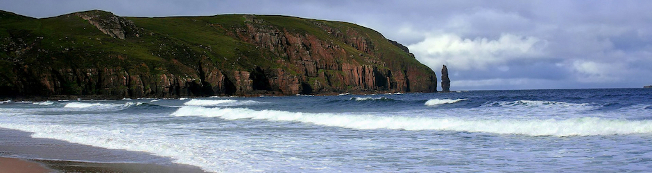 Алексей Дверницкий