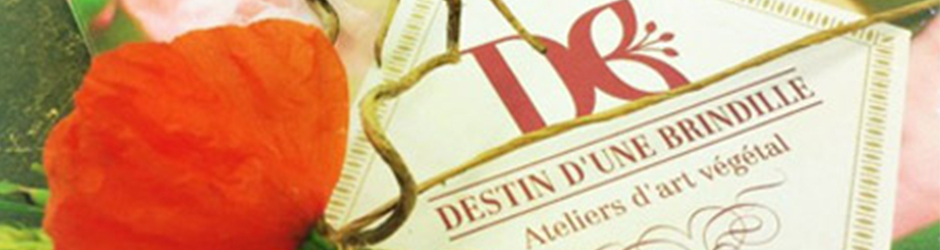 Destin d'une Brindille - Art floral - Dijon