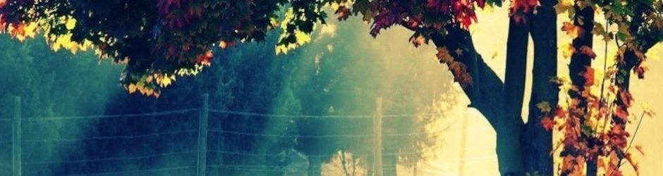 Muhammad Tahir Habib