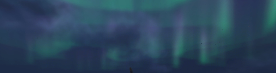 Totally Wacked Productions (reborn)