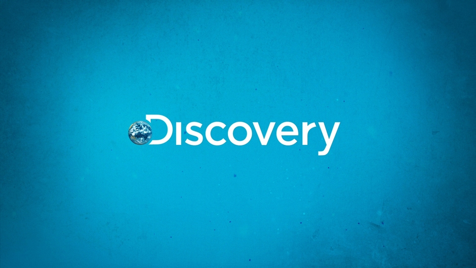 Discovery