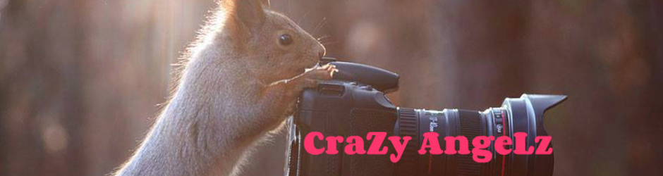 News And Funny videos