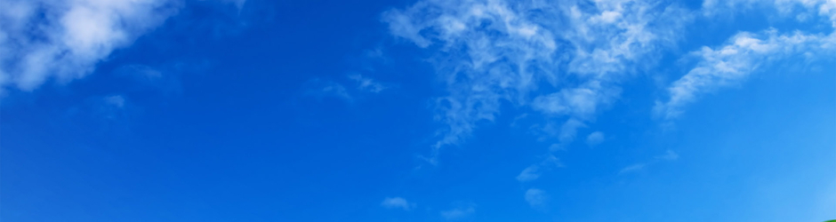 Marcia Rosy Hernan's Video