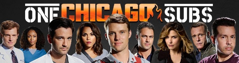 onechicagosubs