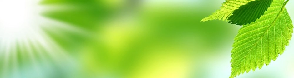 Серж Скворцов