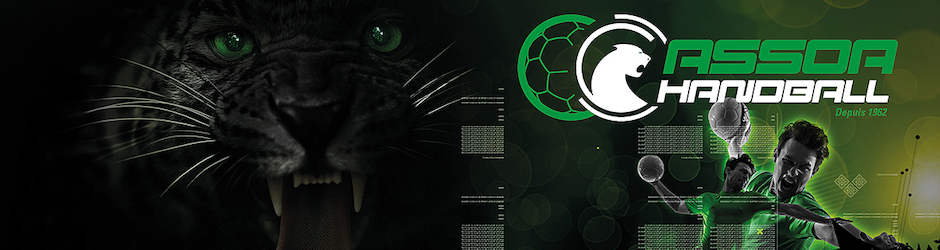 ASSOA Handball