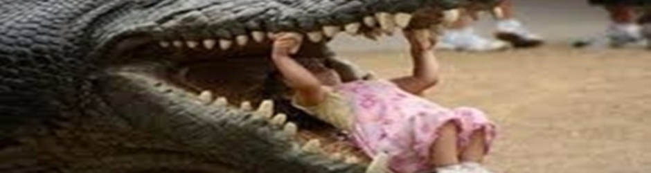 FUNNY_AMAZING_MOMENTS