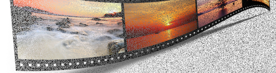 Hunting and Documentary Channel