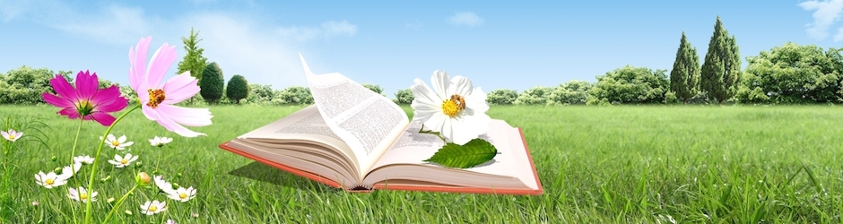 entertainment and music☑