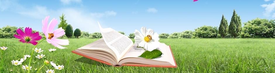 entertainment and music