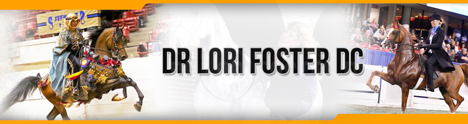 Dr Lori Foster DC