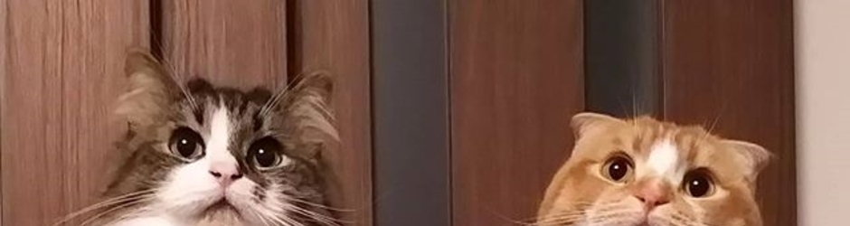 Кинозал для всех