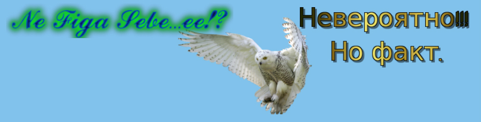 Не фига себе