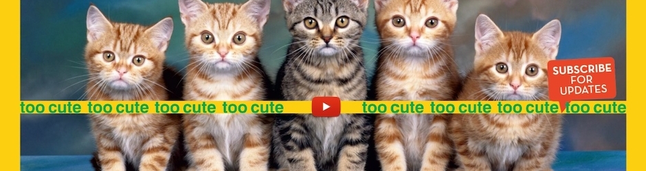 Too Cute