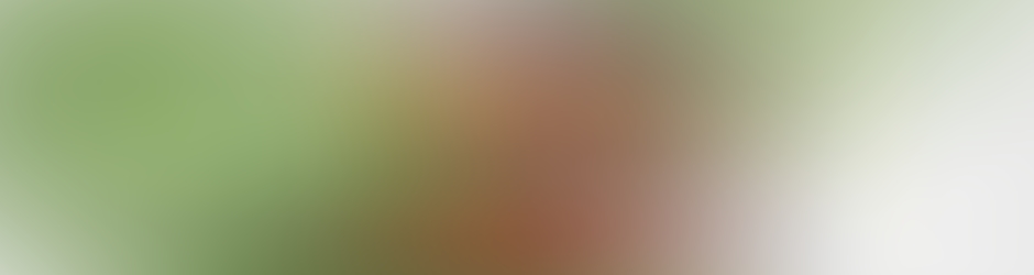 Just For Laughs Gags