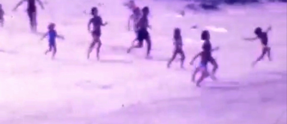 Hoffman / Feinsilver Home Movies