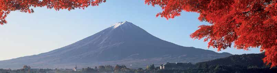 Sandra Chassery (Boucabeille)